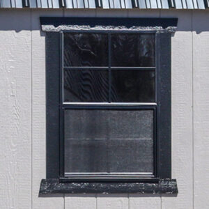 2 - 24x36'' Windows